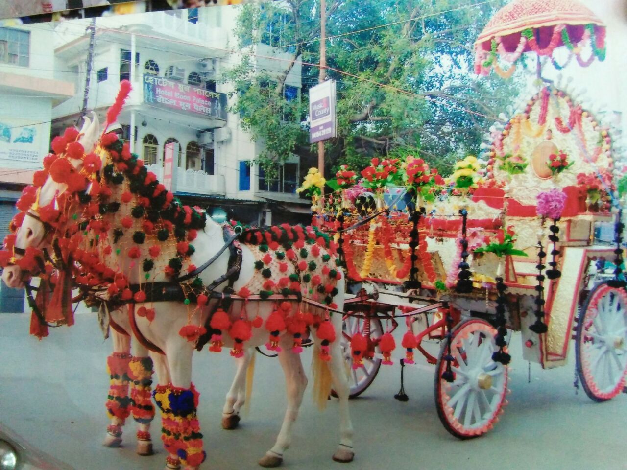 lucknow